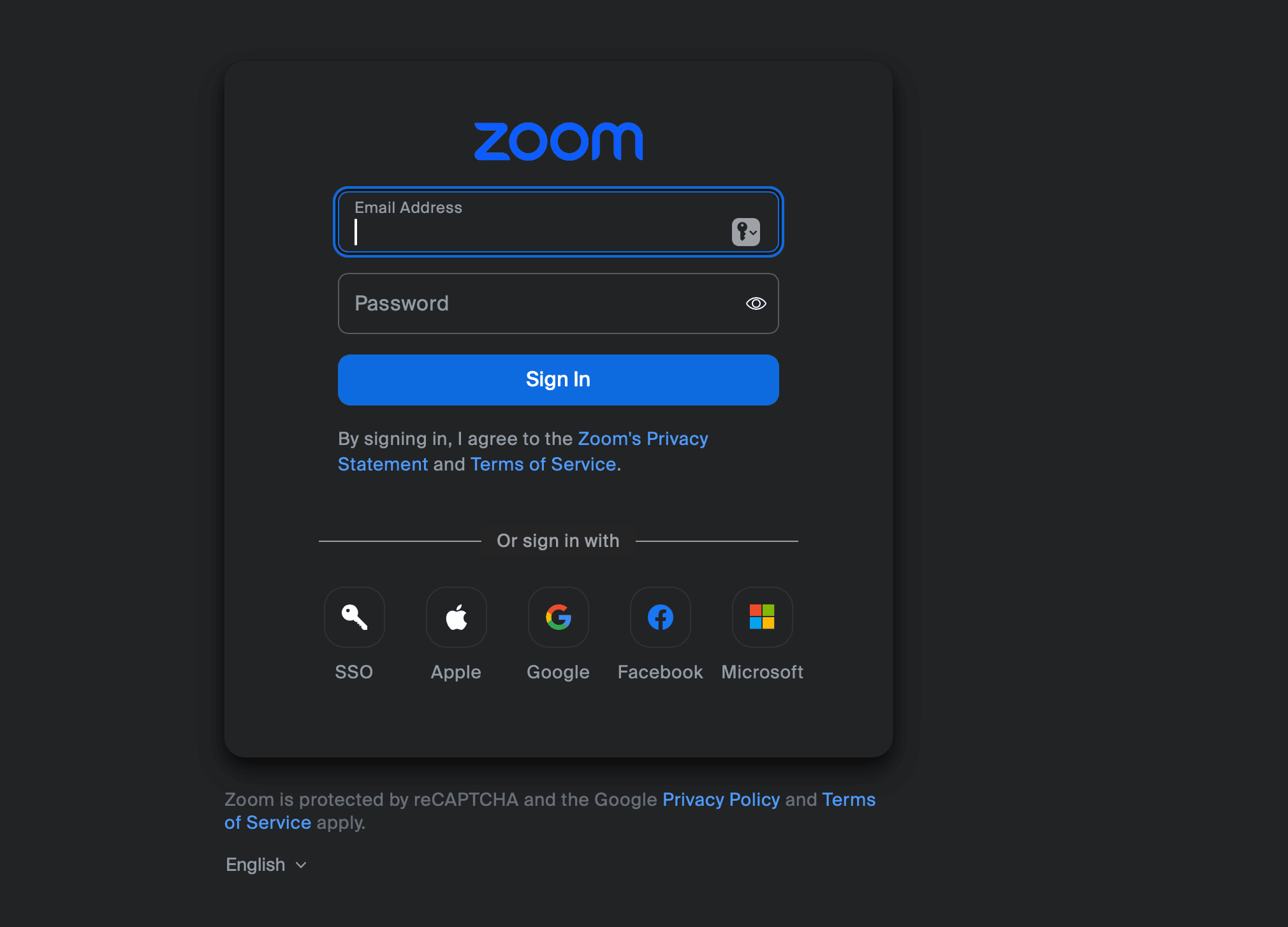 Step 3: Zoom Authorization screen